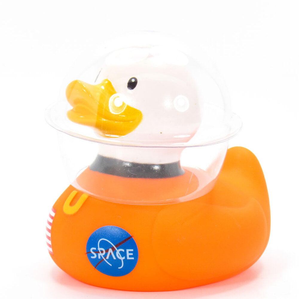 Canard Space