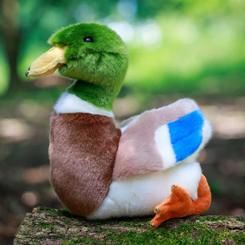 Peluche Canard Colvert Animigos