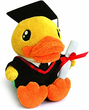 Peluche Canard Diplômé