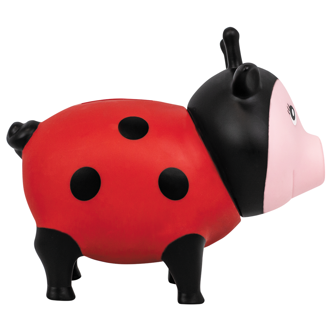 Cochon Coccinelle